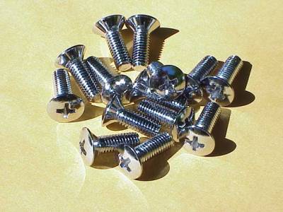 SCREWS, CHROME FINISHING SCREWS FOR TOP AND HEADLINER, SET OF 10, BUG CONV. 1950-79