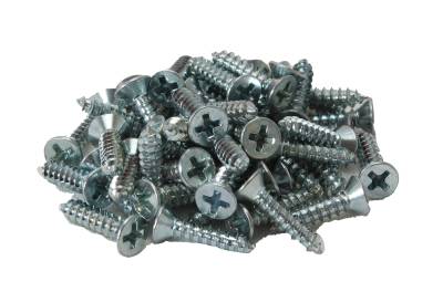 West Coast Metric - SCREWS, FOR MOUNTING DOOR & TOP ALUMINUM INSERTS, PACK OF 25, BUG CONV. 1950-79 *MADE BY WCM* - Image 1